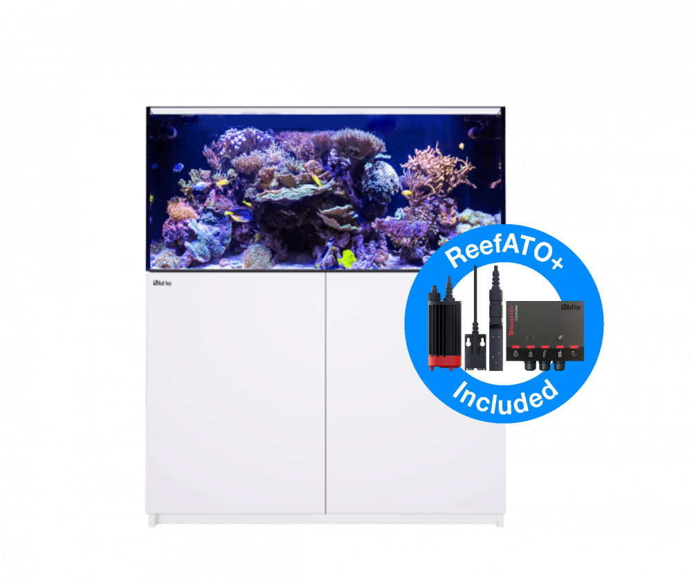 Red Sea Reefer 425 G2+ Meerwasseraquarium Komplettset